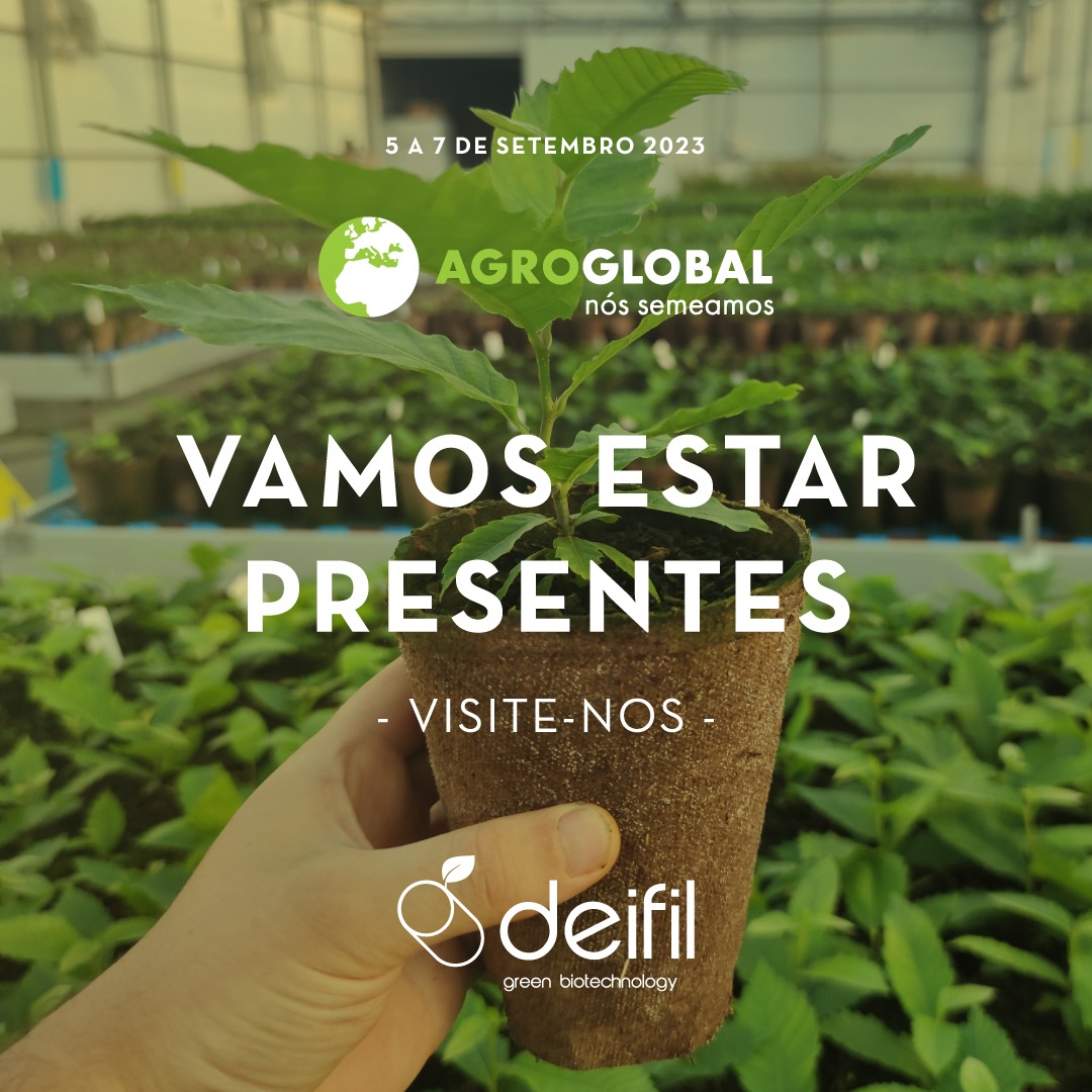 Deifil marca presença na Agroglobal focada na sustentabilidade no sector agrícola